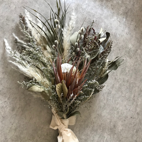 特大 50x40cm ネイティブフラワー キングプロテア パンパスグラス