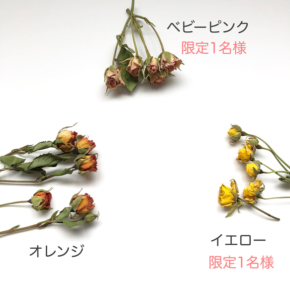 花材キット rose mix☆ハーバリウムキット☆ドライフラワー☆薔薇☆ 3枚目の画像