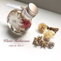 Winterbottle Herbarium☆Christmas☆Happy New Year 1枚目の画像