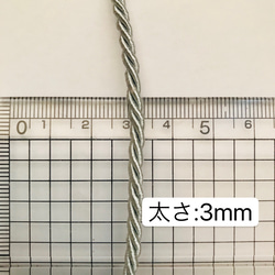  第6張的照片