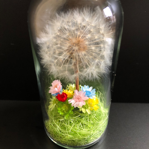 独特の上品 たんぽぽ様用再出品 テント・タープ