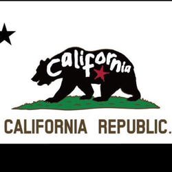 California Republic 黒白 男前 A4 3枚目の画像