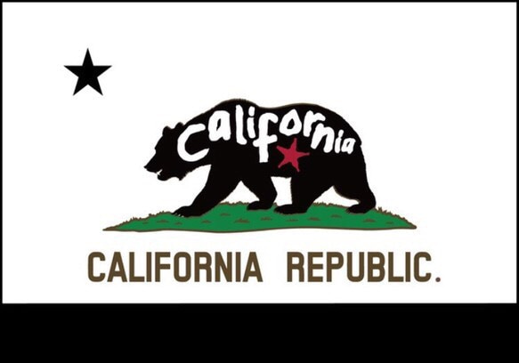 California Republic 黒白 男前 A4 3枚目の画像