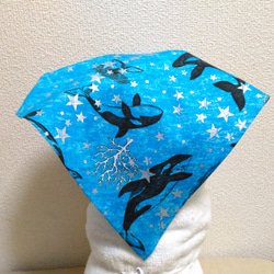 シャチ（アクアブルー）子供用三角巾　ゴム紐付 1枚目の画像