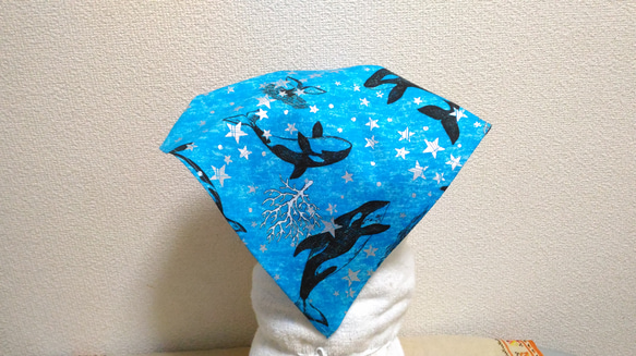 シャチ（アクアブルー）子供用三角巾　ゴム紐付 1枚目の画像