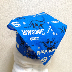恐竜F（ブルー）子供用三角巾　ゴム紐付 2枚目の画像