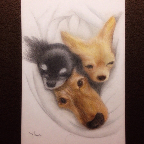 ペット 肖像画 似顔絵 イラスト 色鉛筆画 パステル オーダーメイド 犬 