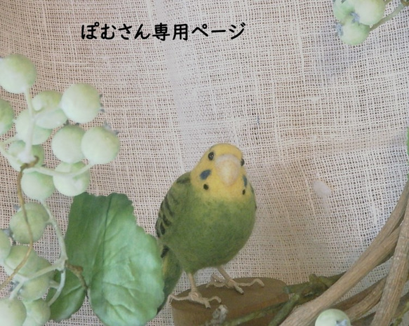 ぽむさん専用ページ ぽむさん専用ページ‼️