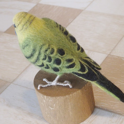 羊毛フェルトの小鳥　卓上マスコット　セキセイインコ(ノーマル)　ぽむ様ご注文品 5枚目の画像