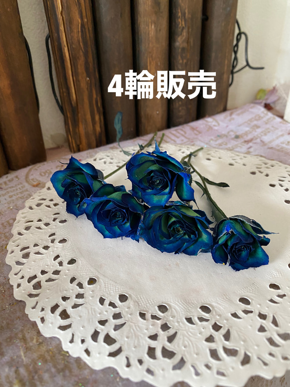 中スプレーローズブルーグリーンバイカラーアレンジ加工4輪販売❣️ハンドメイド花材カラードライフラワー 1枚目の画像