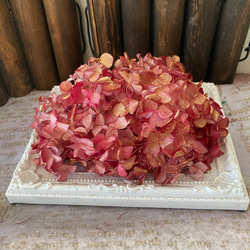 ソフトゆめ新アレンジ加工アジサイ小分け❣️ハンドメイド花材  