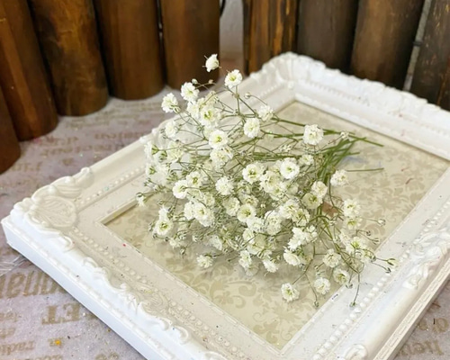 ミッキーかすみ草ドライフラワー花材 ミニチュア】小さな小さなかすみ草ドライフラワー花束3点セット