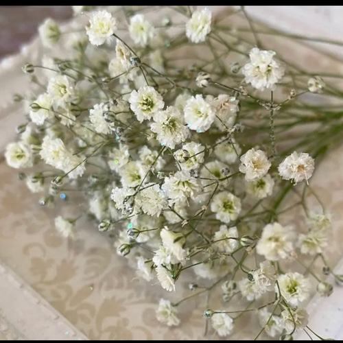 ドライフラワーかすみ草ホワイトキラキラオーロララメ付き❣️ハー