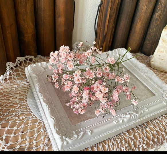 再販❣️ドライフラワーかすみ草サクラ色キラキラオーロララメ付き