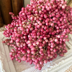 2024年再入荷❣️ペッパーベリードライフラワーナチュラルピンク小分け