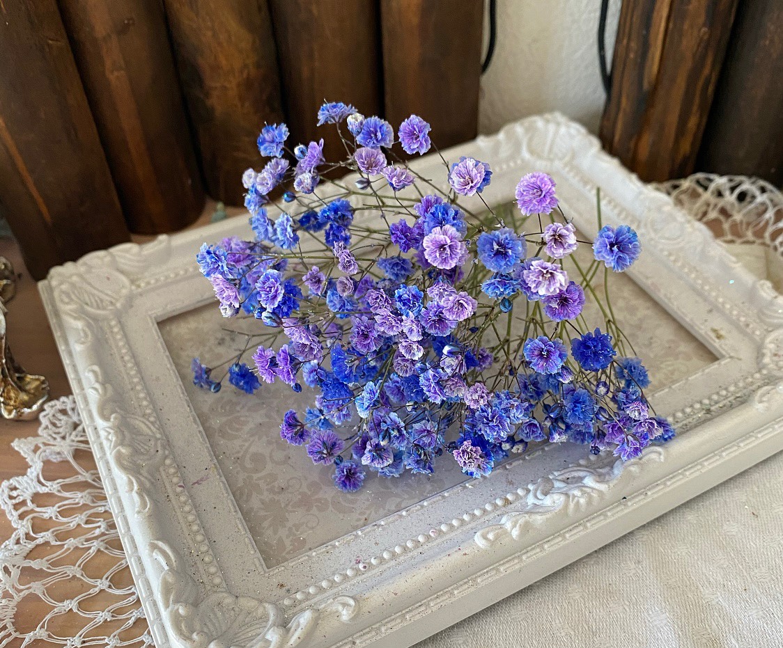 花材セット ブルーパープル  Ｎｏ．560