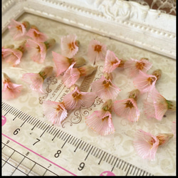 レア花材❣️スカビオーサの実ピンクパーツ販売❣️ハンドメイド花材プリザーブドフラワー 2枚目の画像