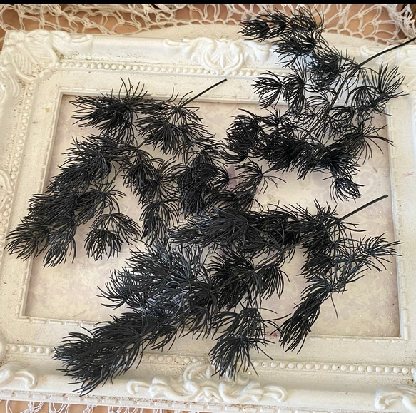 希少ミリオクラダスブラック小分け❣️ハンドメイド花材プリザーブドフラワー 1枚目の画像