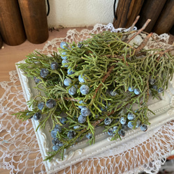 2024年上位クラスレア品種❣️ドライフラワー西洋ネズ ジュニパーベリー小分け❣️ハンドメイド花材リースなど❤️ 1枚目の画像