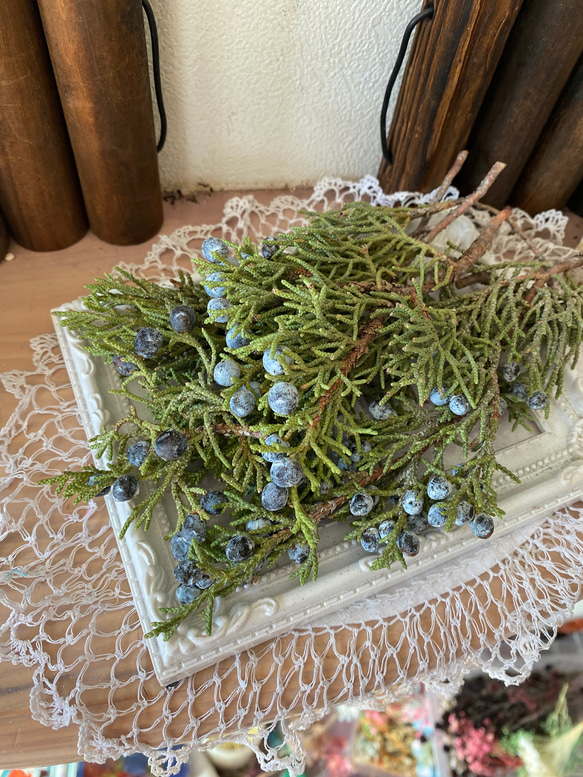 ジュニパーベリー 2024年上位クラスレア品種❣️ドライフラワー西洋ネズ