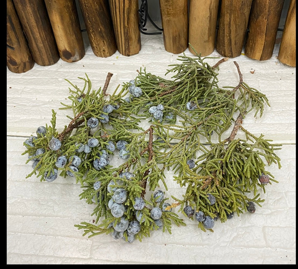 2024年上位クラスレア品種❣️ドライフラワー西洋ネズ ジュニパーベリー小分け❣️ハンドメイド花材リースなど❤️ 2枚目の画像