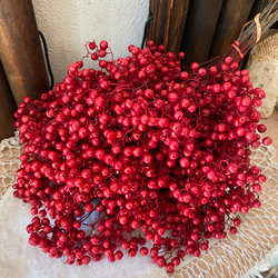 レッドペッパー　追加写真 レッドペッパー追加写真