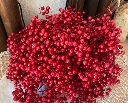 綺麗色レッドペッパーベリー新色小分け❣️ハンドメイド花材カラー