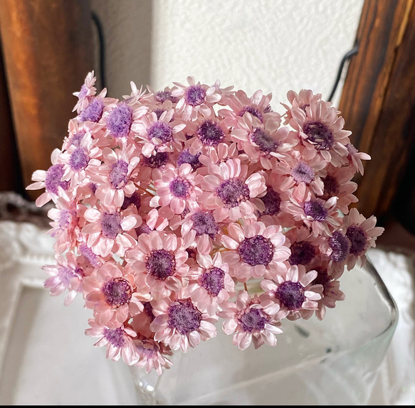 スターフラワーブロッサムアレンジ加工ピンクパープル小分け❣️ハンドメイド花材カラードライフラワー 1枚目の画像