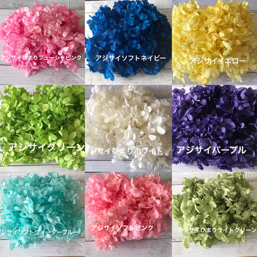 ❤️アジサイオーダーページ②❤️ハーバリウム花材プリザーブド  