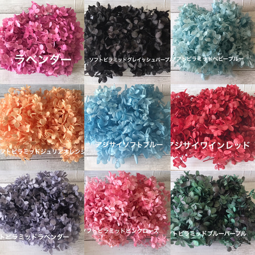 ❤️アジサイオーダーページ②❤️ハーバリウム花材プリザーブド  