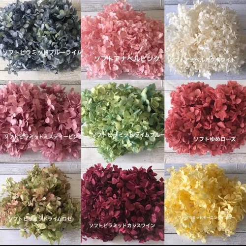 ❤️アジサイオーダーページ②❤️ハーバリウム花材プリザーブド  