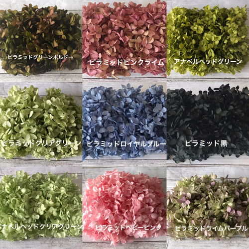 ❤️アジサイオーダーページ②❤️ハーバリウム花材プリザーブド  