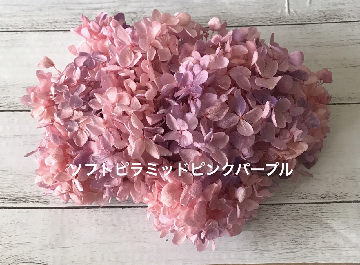 大地農園ピラミッドピンクパープルハーバリウム花材プリザーブド