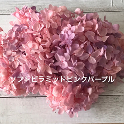 花材セット61点　ハーバリウム　ソフトアジサイ 大地農園ピラミッドピンクパープルハーバリウム花材プリザーブド