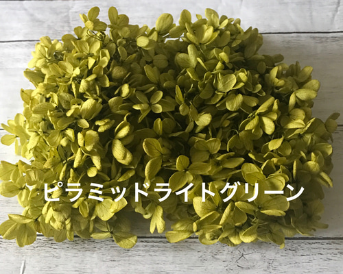 《SALE》紫陽花 くすみセット プリザーブドフラワー ハーバリウム 花材の