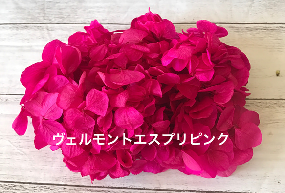 ヴェルモントエスプリピンクアジサイ小分け❗️ハーバリウム花材プリザーブドフラワー 1枚目の画像