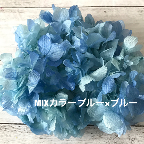 ブルー×ブルーキラキララメ付き紫陽花❣️ハーバリウム花材 