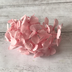 アンデスアジサイベビーピンク小分け❣️ハーバリウム花材プリザーブドフラワー紫陽花 2枚目の画像