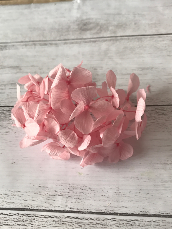 アンデスアジサイベビーピンク小分け❣️ハーバリウム花材プリザーブドフラワー紫陽花 2枚目の画像