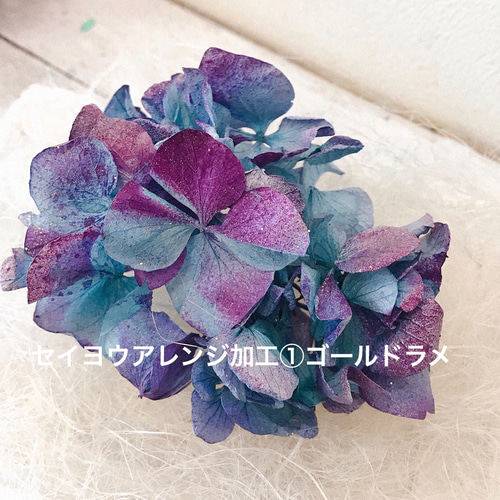 アイビーゼラニウム 15cmカット 1本 その他素材 mofrin 通販｜Creema 