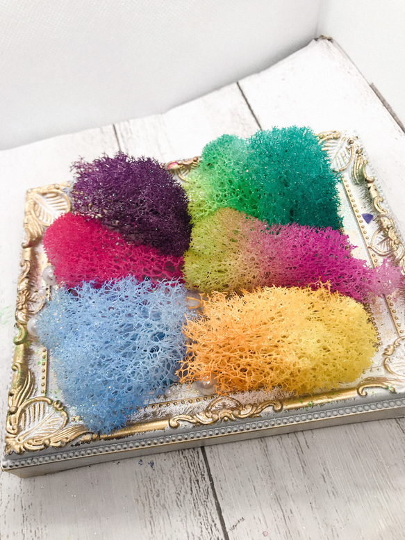 キラキラオーロラモスアソート❣️ハーバリウム花材プリザーブド