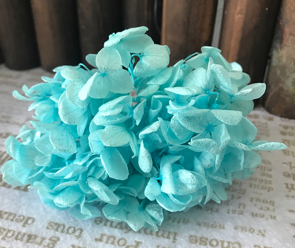 ハーバリウム 黄色い紫陽花とバラ 在庫処分品