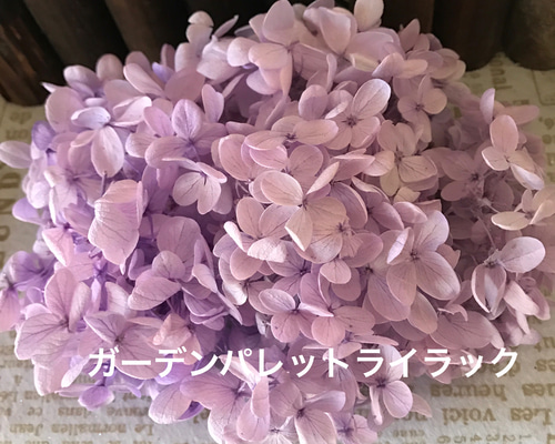 綺麗色ライラック紫陽花小分け❣️ハーバリウム花材プリザーブド