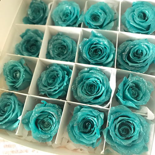 希少花材プリザーブド薔薇❣️シルバーラメ付き❣️ハーバリウム花材 