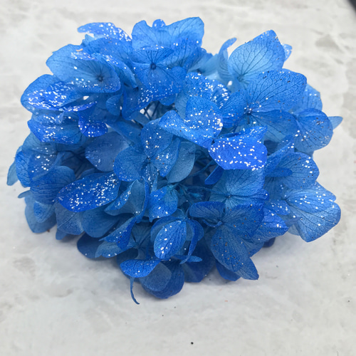 ブルー×ブルーキラキララメ付き紫陽花❣️ハーバリウム花材 