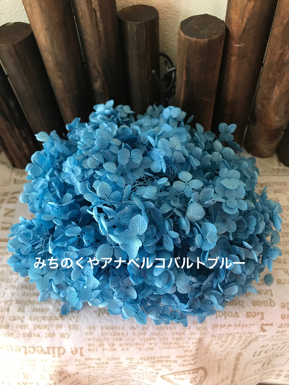 みちのくやアナベルあじさいコバルトブルー小分け❣️ハーバリウム花材プリザーブドフラワー 1枚目の画像