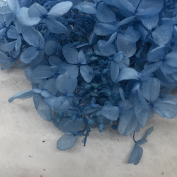 大地農園ピラミッド新製品ライトブルーアジサイ小分け❣️ハーバリウム花材プリザーブドフラワー 2枚目の画像