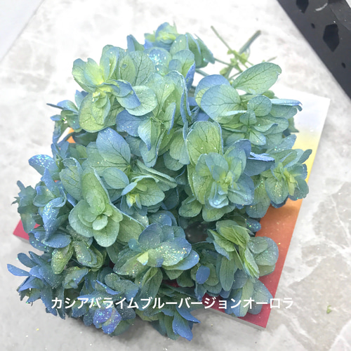 アイビーゼラニウム 15cmカット 1本 その他素材 mofrin 通販｜Creema 