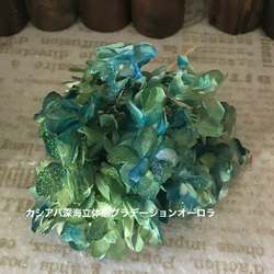 深海カラーカシアバアジサイアレンジ加工小分け❣️ハーバリウムレジンアクセサリーハンドメイド花材プリザーブドフラワー 1枚目の画像