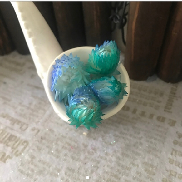 海カラーツートン❣️ミニシルバーデージーアレンジ加工♥️ハーバリウム花材プリザーブドフラワー 1枚目の画像